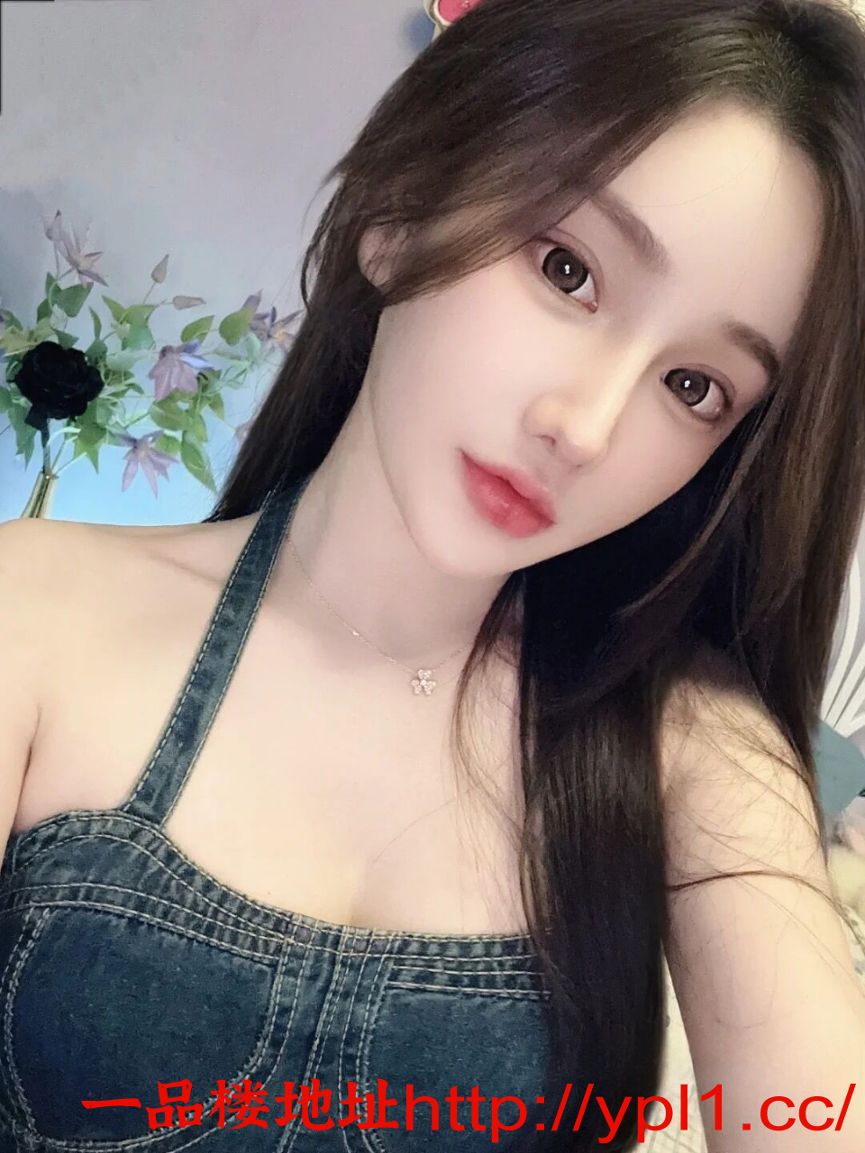 1722482262_[B@5ca84c2.png