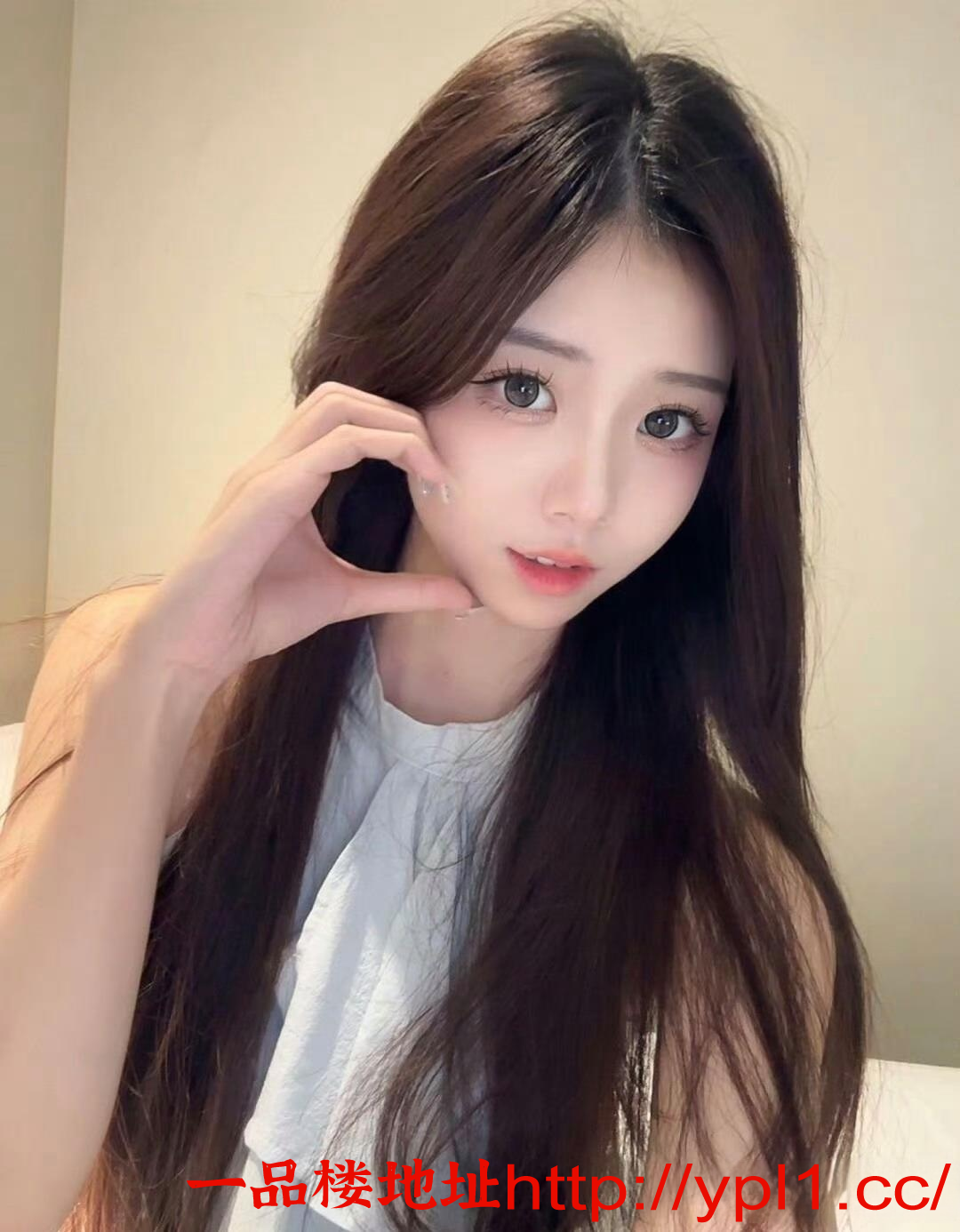 1691902533.png